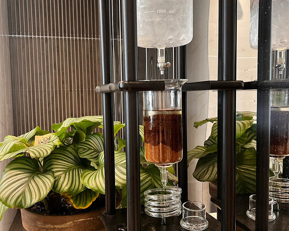 Whitenoise Coffee Co. Receives Recognition for Sustainable Practices and Ethical Sourcing