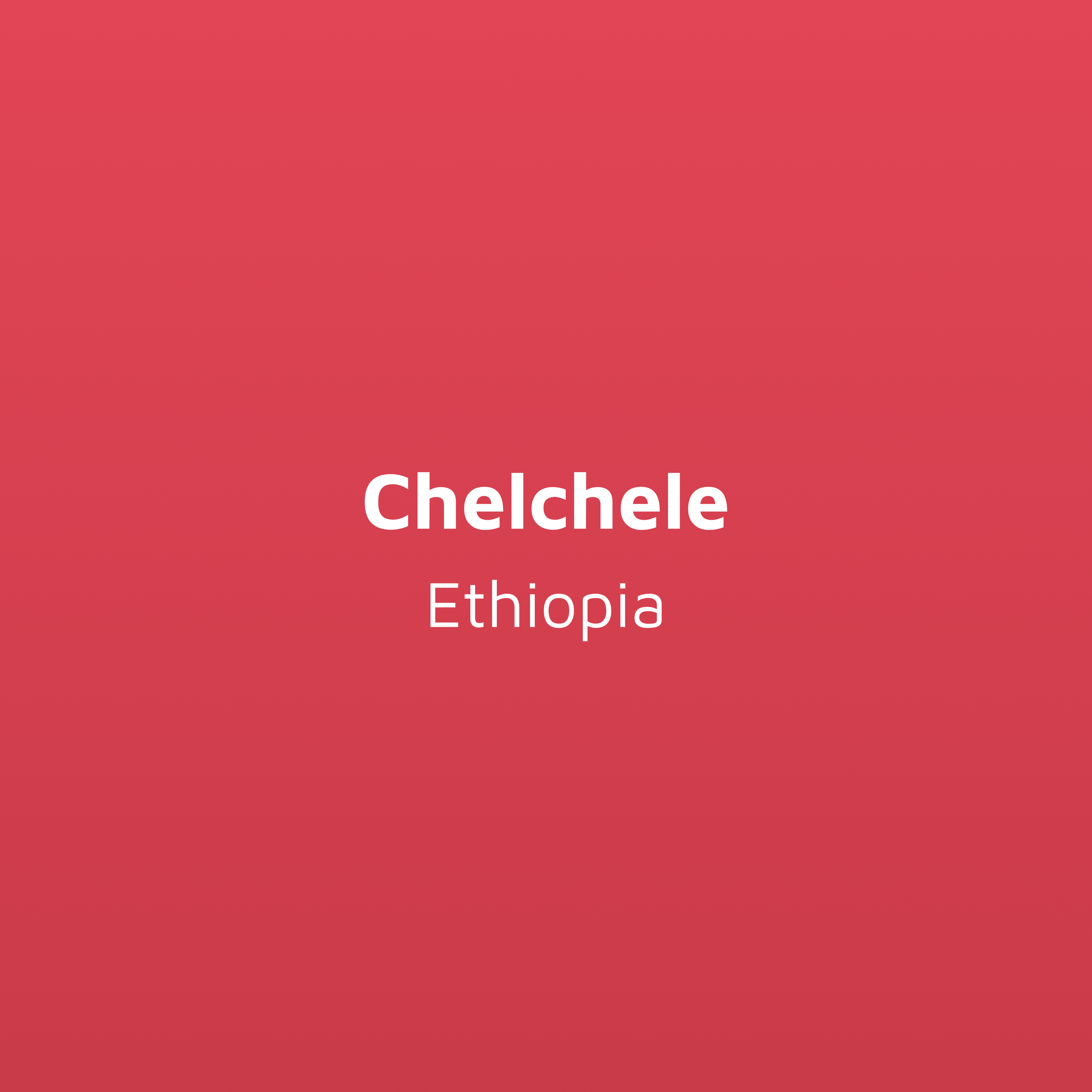 Grade 1 - Chelchele - Natural Yirgacheffe | Ethiopia