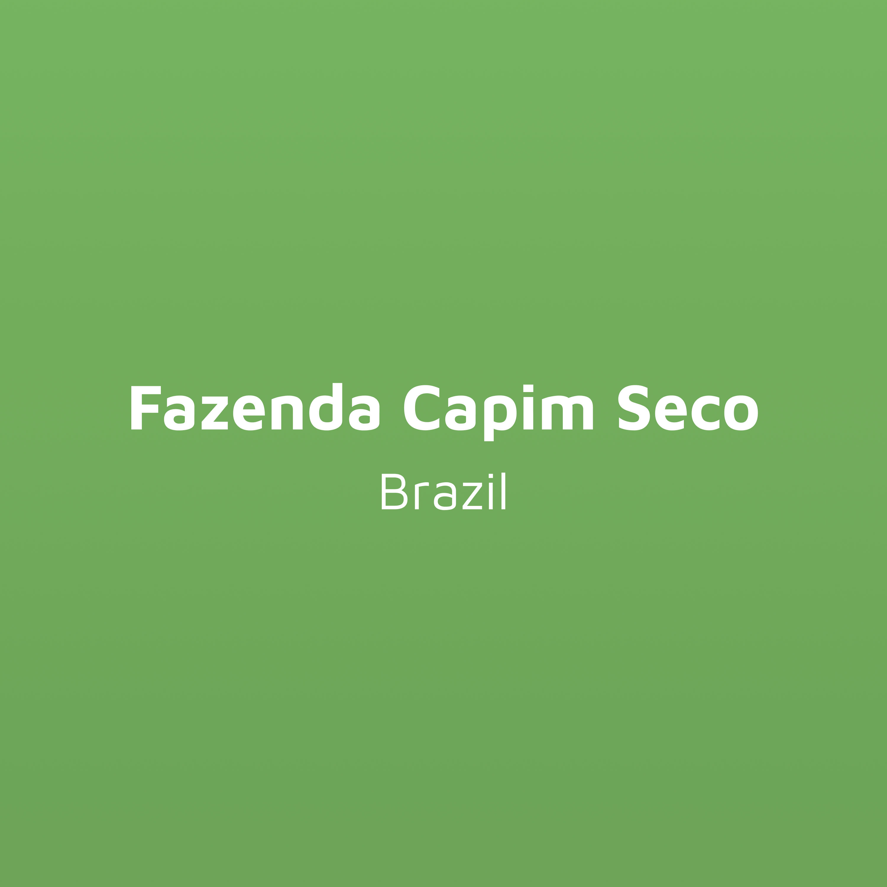 Fazenda Capim Seco - Yellow Bourbon - Anaerobic  | Brazil