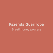 Fazenda Guariroba - Brazil