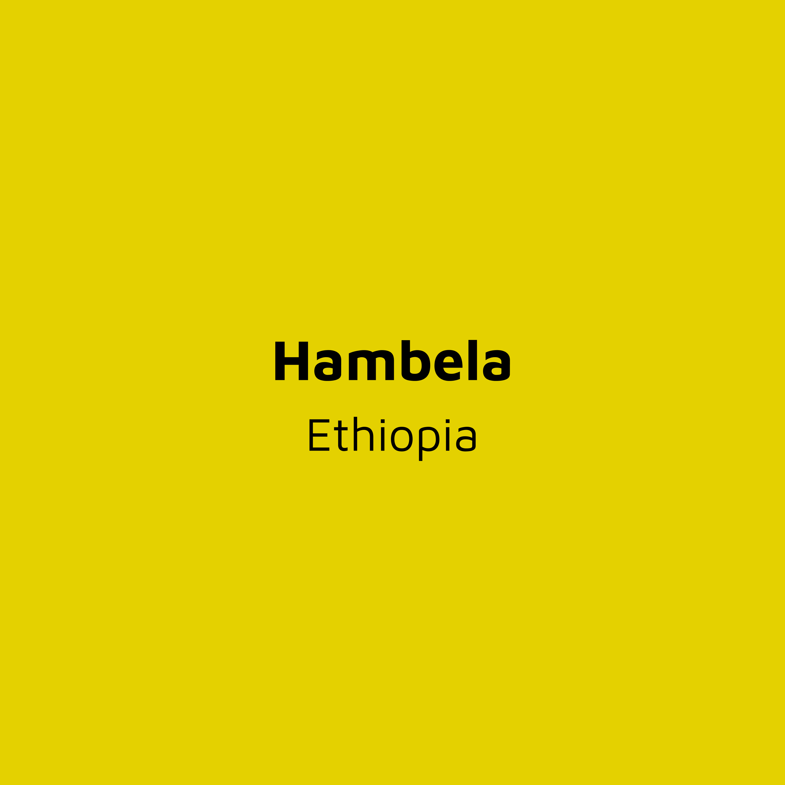 Hambela Coffee