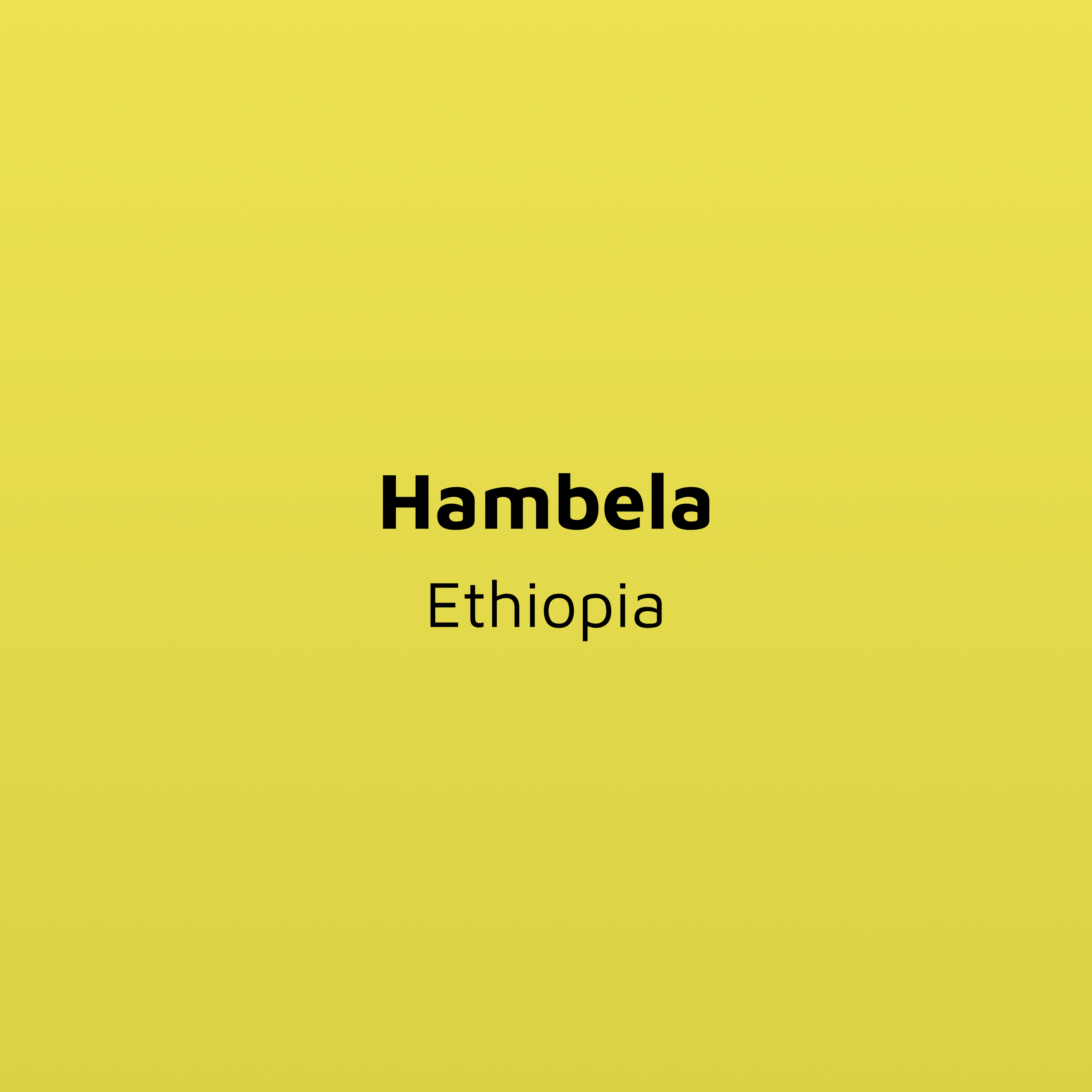 Grade 1 - Hambela - Washed Guji | Ethiopia