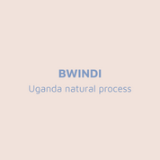 Bwindi - Uganda - Natural Process