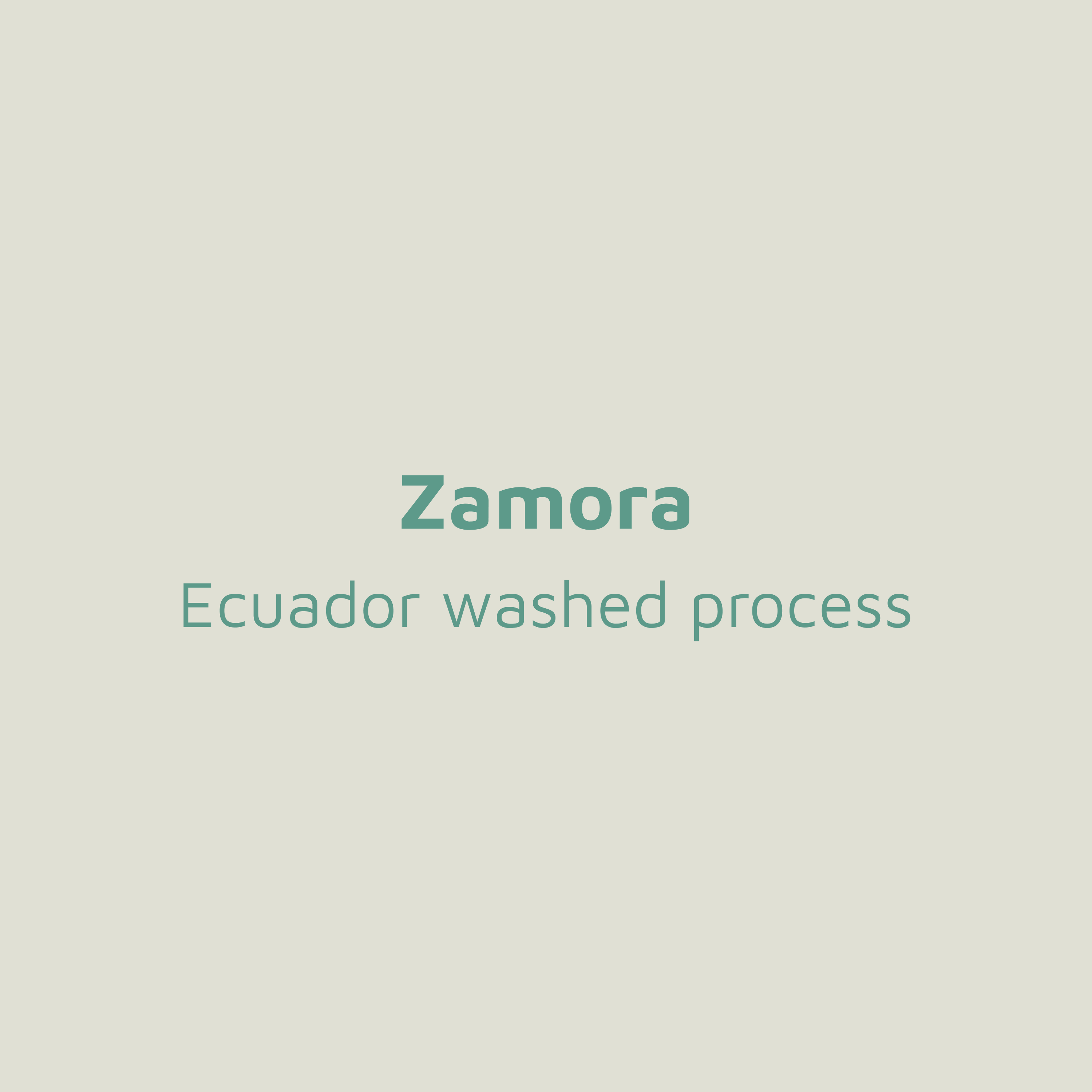 Zamora-Ecuador.png