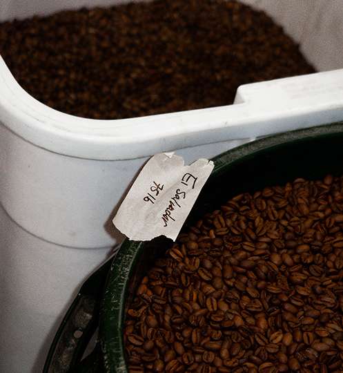 Wholesale Espresso Bean