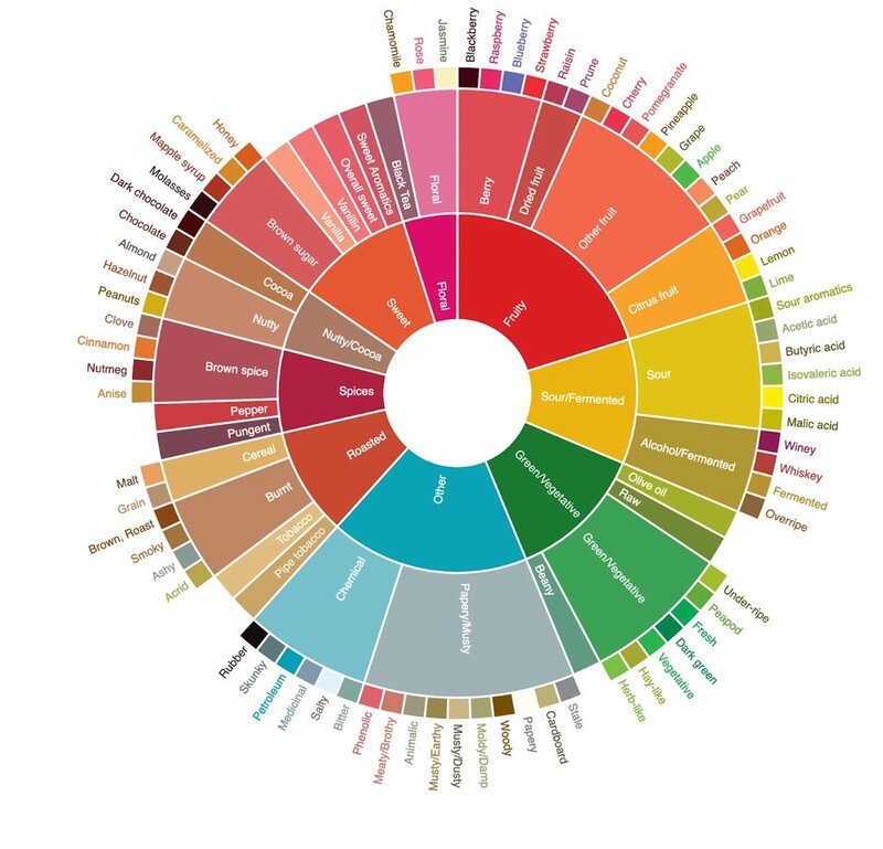 Coffee Flavor Wheel Spectrum