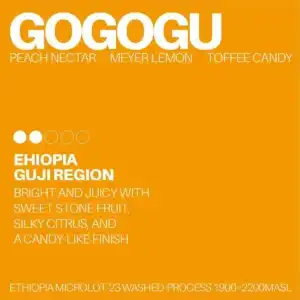 White Noise Coffee - Gogogu Ethiopia