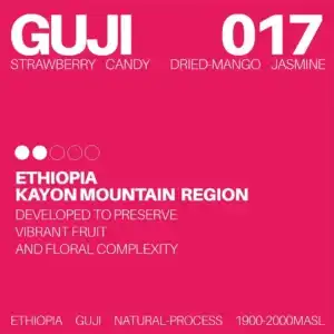 White Noise Coffee - Guji 017 Ethiopia