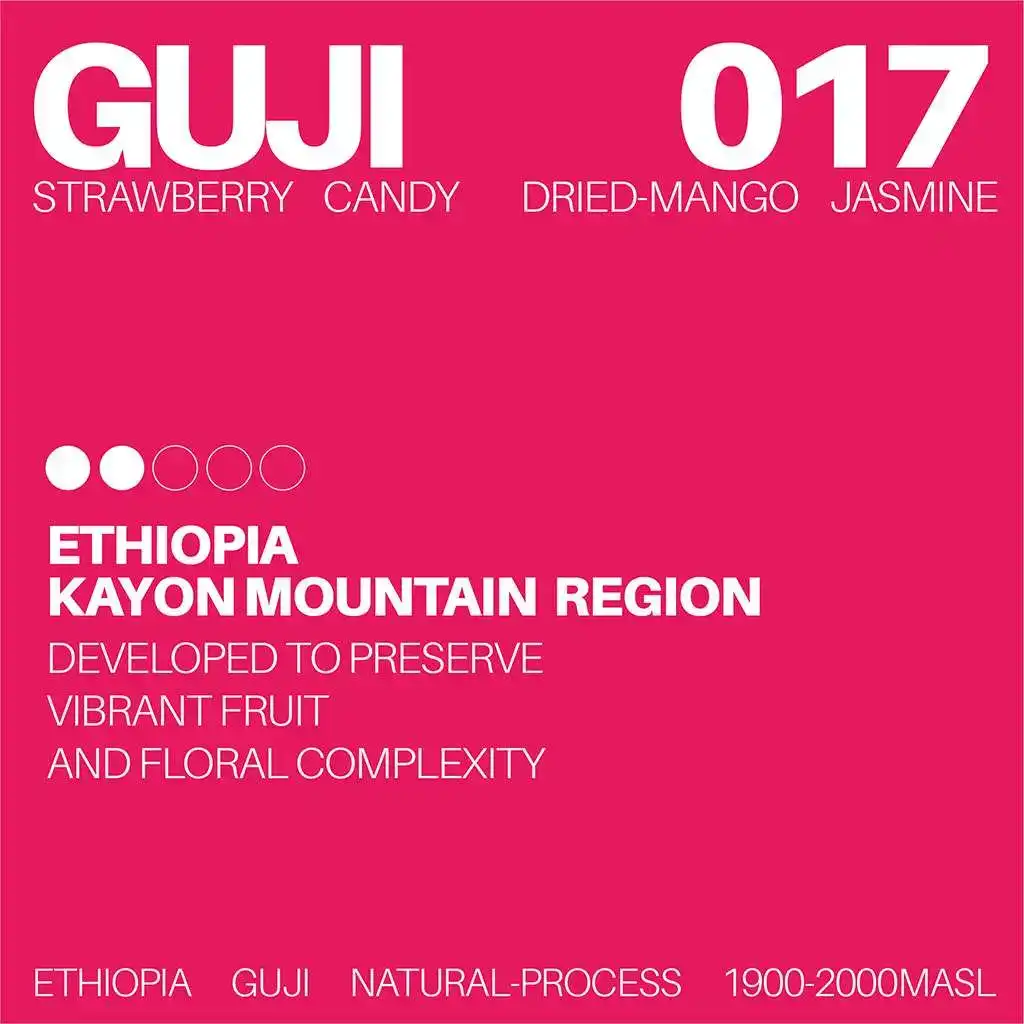 White Noise Coffee - Guji 017 Ethiopia