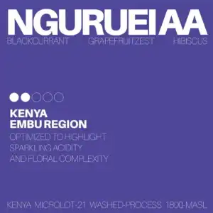 White Noise Coffee - Nguruei AA Kenya