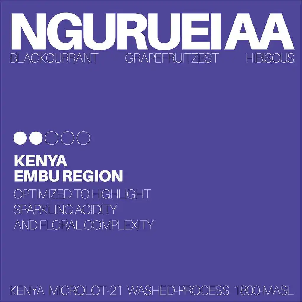 White Noise Coffee - Nguruei AA Kenya