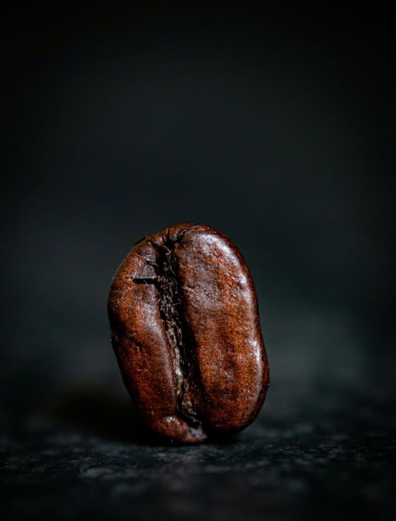 glossy brown coffee bean
