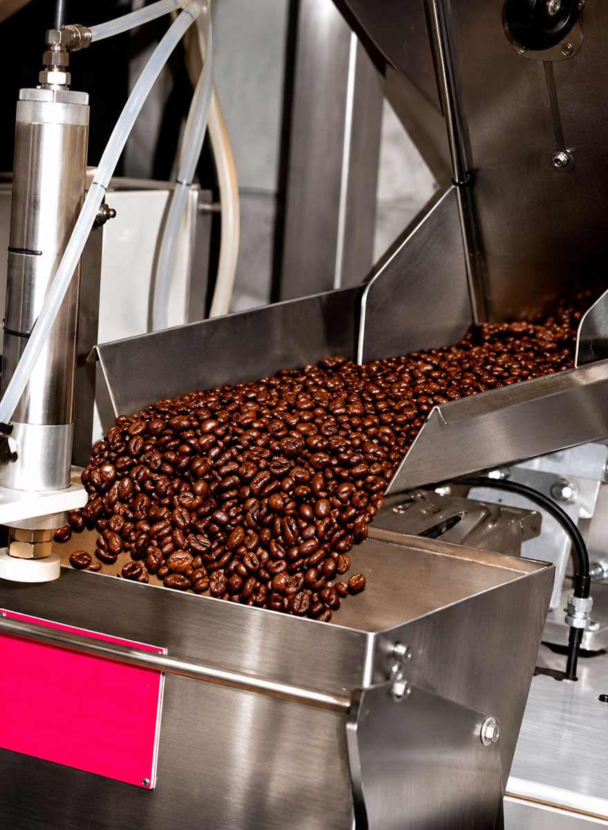 Coffee Beans at Factory